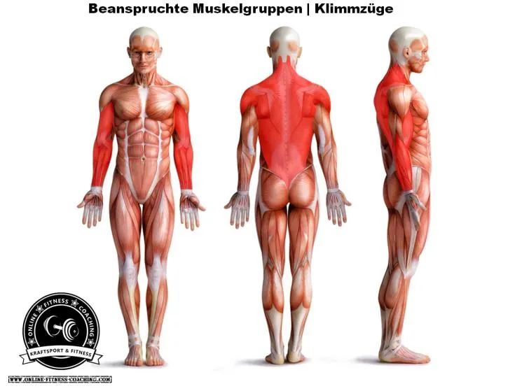 Klimmzüge Technik und Ausführung